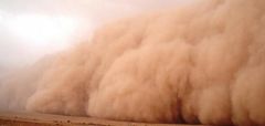 طقس اليوم الأحد: رياح مثيرة للأتربة والغبار على معظم مناطق المملكة