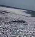 بعد فيديو نفوق آلاف الأسماك بالقنفذة.. “البيئة” تبدأ التحقيق.. ومسؤول يوضح السبب