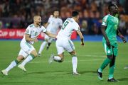 فيديو.. الجزائر تفوز على السنغال وتتوّج ببطولة أفريقيا