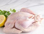 بها سم قاتل.. “دراسة” تحذّر من تناول أجنحة ورقاب الدجاج