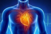 استشاري يوضح مدى تأثير فيروس “كورونا” على صحة القلب (فيديو)