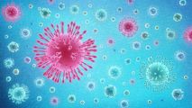 أين يُوجد فيروس كورونا الجديد.. وكيف ينتقل.. وما هي أعراضه وطرق الوقاية منه؟