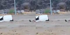 بالفيديو.. انقاذ محتجزين في سيول الحسينية بمكة