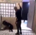 فيديو مؤلم لشاب يعــذب كلباً داخل استراحة.. ومطالبات بمحاسبته