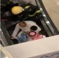 شاهد.. “مدني جدة” يحرر قدم طفل علقت في سلم كهربائي بمركز تجاري في جدة