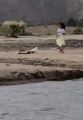 فيديو.. طفلة صغيرة تجمع القمامة على ضفاف وادي نجران